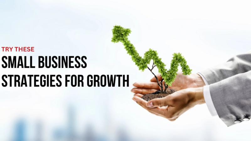 Small Business Growth: Comprehensive Strategies